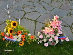 Bastogne Freedom Ultraloop